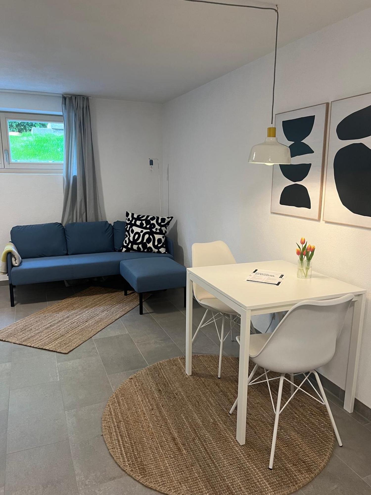 אוברלינגן 1-Zimmer-Apartment Am Bodensee מראה חיצוני תמונה